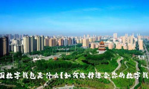 美国数字钱包是什么？如何选择适合你的数字钱包？