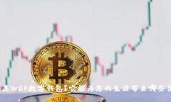 什么是WDP数字钱包？它能为您的生活带来哪些便