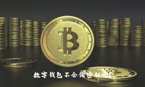 数字钱包不会偷密钥吗？