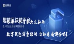 思考一个符合大众和的数字钱包消费场所：你知
