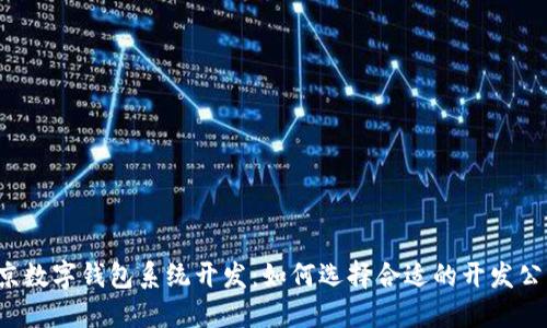 南京数字钱包系统开发：如何选择合适的开发公司？