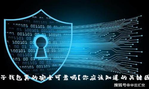 电子钱包真的安全可靠吗？你应该知道的关键因素