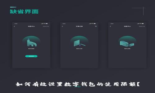 如何有效设置数字钱包的使用限额？