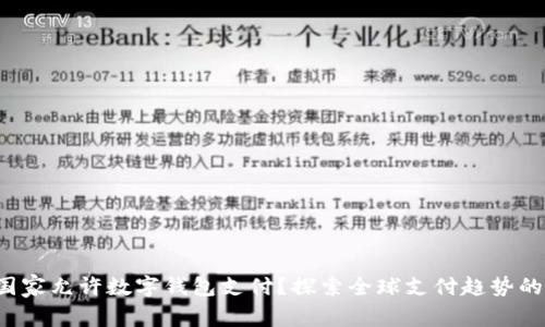 哪个国家允许数字钱包支付？探索全球支付趋势的未来！