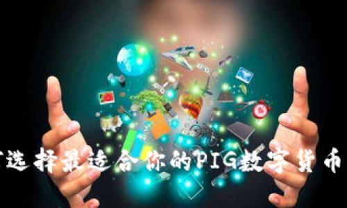  如何选择最适合你的PIG数字货币钱包？