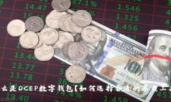什么是DCEP数字钱包？如何选择合适的承载工具？