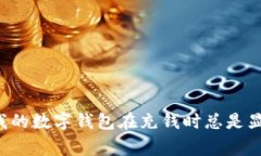 为什么我的数字钱包在充钱时总是显示异常？