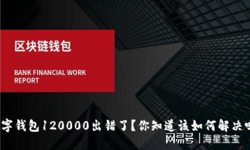 数字钱包120000出错了？你知道该如何解决吗？