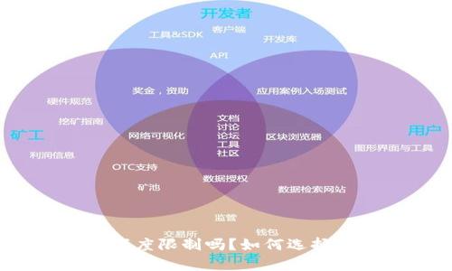 数字钱包真的有额度限制吗？如何选择合适的数字钱包？