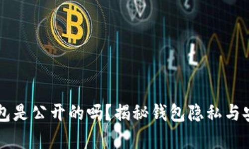 区块链钱包是公开的吗？揭秘钱包隐私与安全的真相