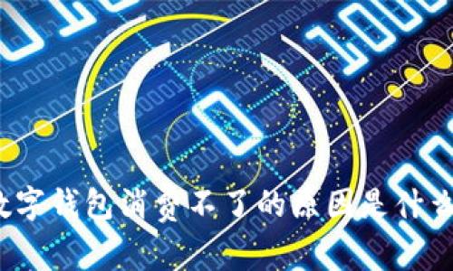 数字钱包消费不了的原因是什么?
