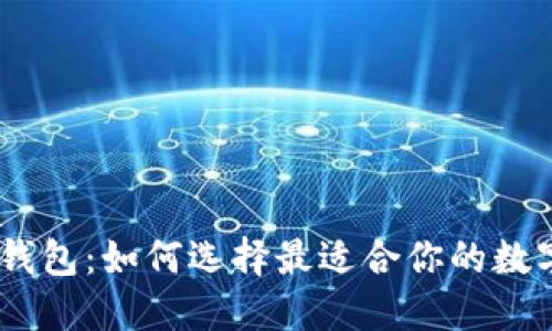 Vi数字钱包:如何选择最适合你的数字钱包?