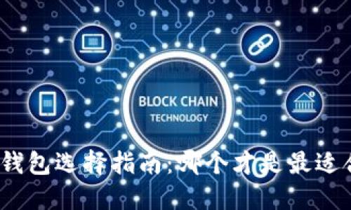 : 加密钱包选择指南:哪个才是最适合你的?
