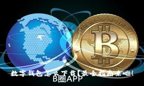 数字钱包怎么下载?最全指南来啦!