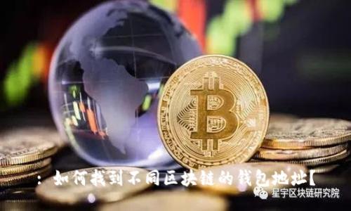 : 如何找到不同区块链的钱包地址?