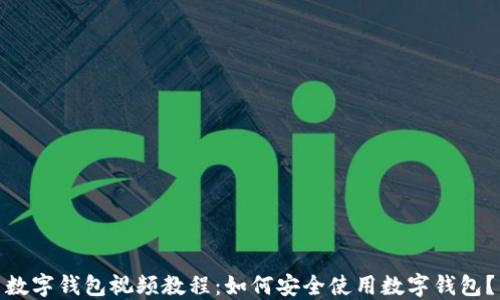 数字钱包视频教程:如何安全使用数字钱包?