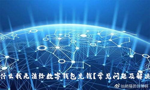 : 为什么我无法给数字钱包充钱?常见问题及解决方案