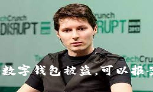 : tp数字钱包被盗,可以报案吗?