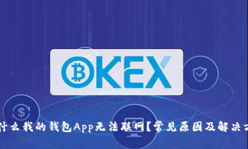 为什么我的钱包App无法联网？常见原因及解决方案