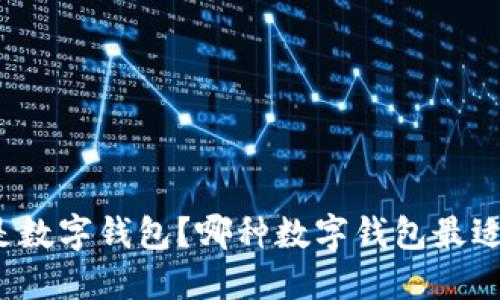 什么是数字钱包？哪种数字钱包最适合你？