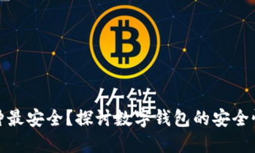 数字钱包哪种最安全？探讨数字钱包的安全性与选择技巧