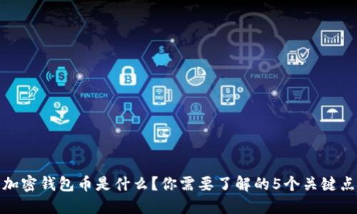 加密钱包币是什么？你需要了解的5个关键点