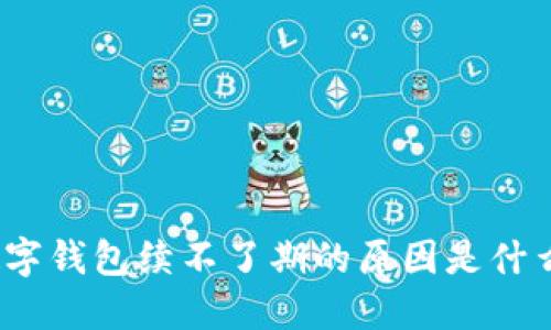 数字钱包续不了期的原因是什么?