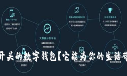 什么是0022开头的数字钱包？它能为你的生活带来什么便利？