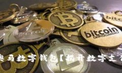 为什么选择奥马数字钱包？揭开数字支付的未来