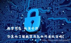 数字钱包 玩法介绍你真的了解数字钱包的所有玩