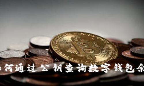 : 如何通过公钥查询数字钱包余额?