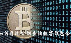 : 如何通过公钥查询数字钱包余额？