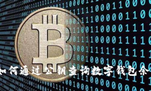 : 如何通过公钥查询数字钱包余额?