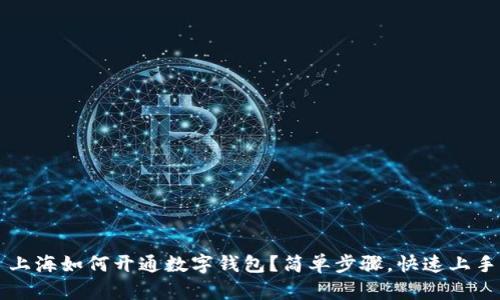  上海如何开通数字钱包？简单步骤，快速上手！