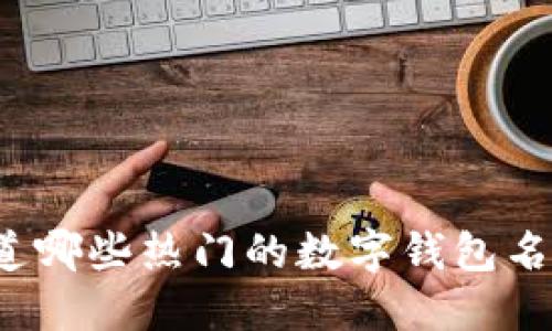 你知道哪些热门的数字钱包名称吗？
