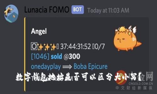 数字钱包地址是否可以区分大小写？