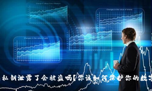 TP钱包私钥泄露了会被盗吗?你该如何保护你的数字资产?