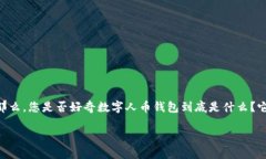 数字人币钱包：在数字货币世界中，它的出现彻