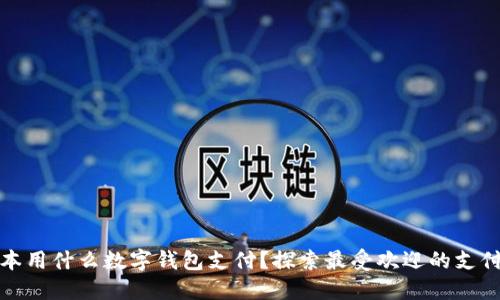 : 日本用什么数字钱包支付？探索最受欢迎的支付方式