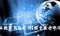 : 日本用什么数字钱包支付？探索最受欢迎的支付
