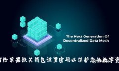 如何给苹果微笑钱包设置密码以保护您的数字资