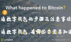 接吗码开通数字钱包的步骤及注意事项接吗码开