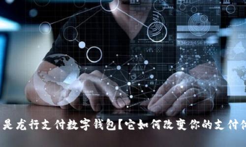 什么是龙行支付数字钱包?它如何改变你的支付体验?