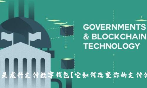 什么是龙行支付数字钱包?它如何改变你的支付体验?