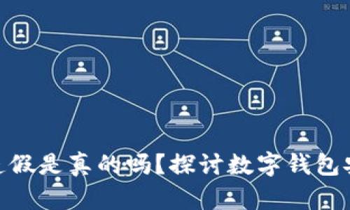 数字钱包造假是真的吗?探讨数字钱包安全与风险